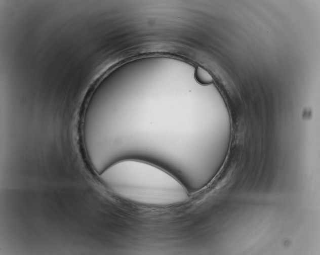 X0000103240786200808281032