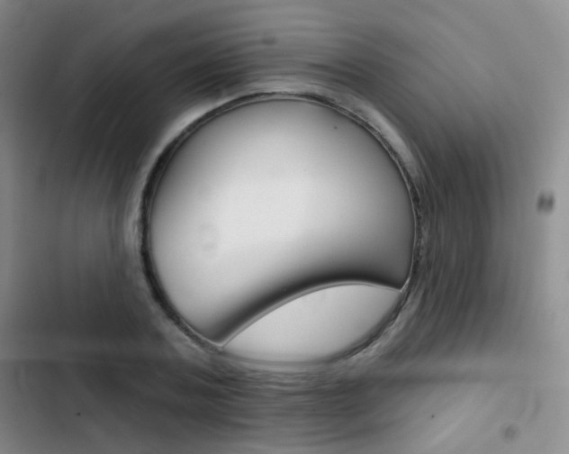 X0000103240787200808281032
