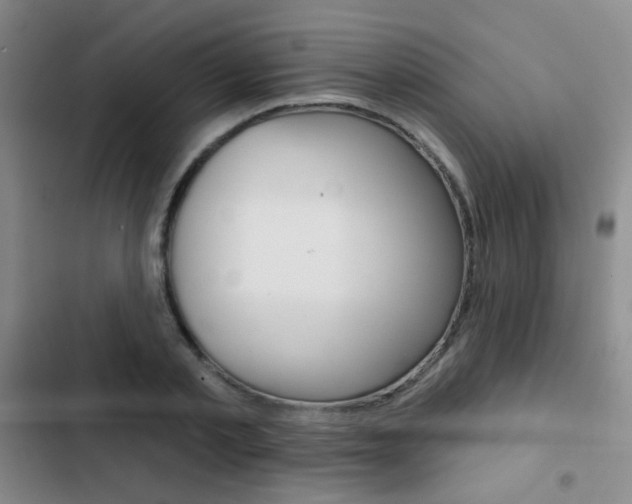 X0000103240789200808281032