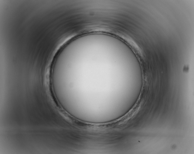 X0000103240790200808281032