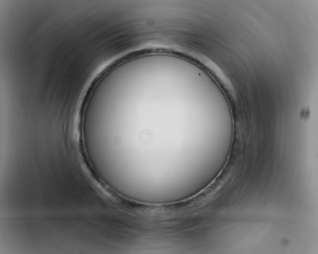 X0000103240791200808281032