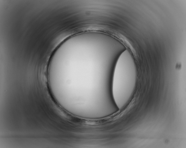X0000103240794200808281032
