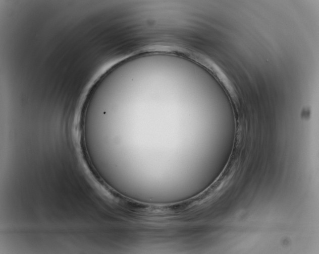X0000103240795200808281032