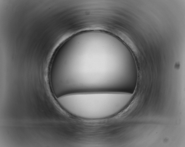 X0000103240797200808281032