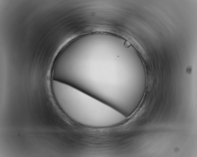 X0000103240798200808281032