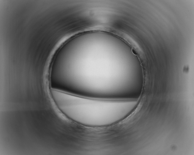 X0000103240800200808281032