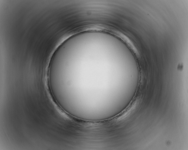X0000103240802200808281032