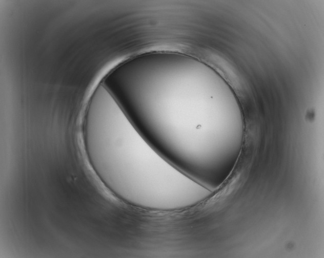 X0000103240804200808281032
