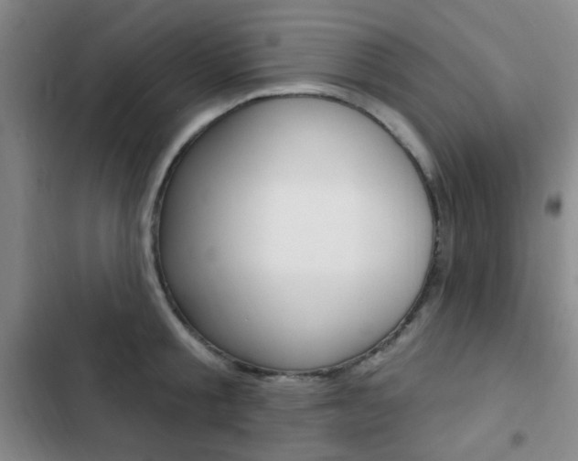 X0000103240805200808281032