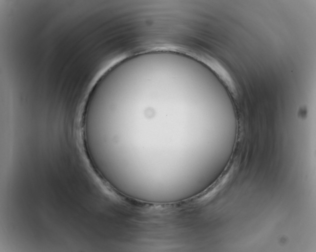 X0000103240806200808281032