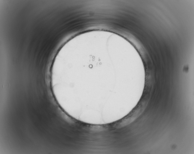 X0000103240807200808281032