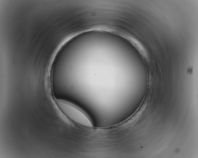 X0000103240808200808281032