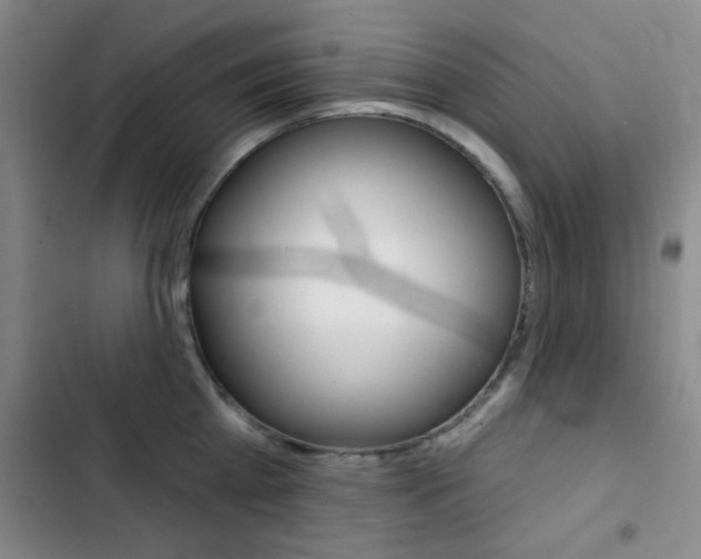 X0000103240809200808281032