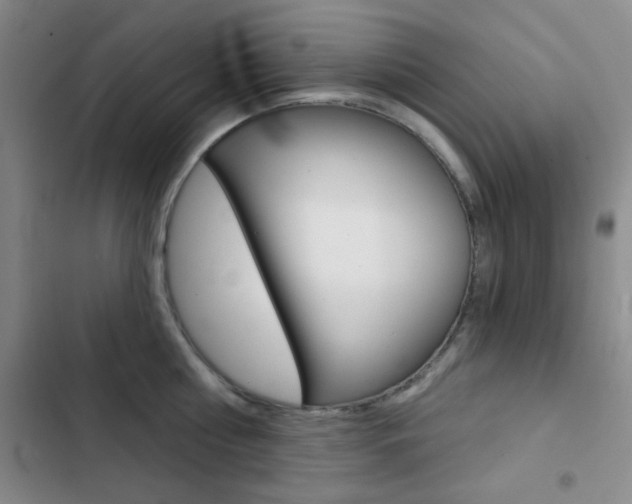 X0000103240810200808281032