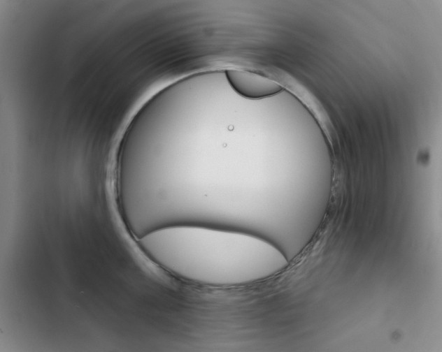 X0000103240811200808281032