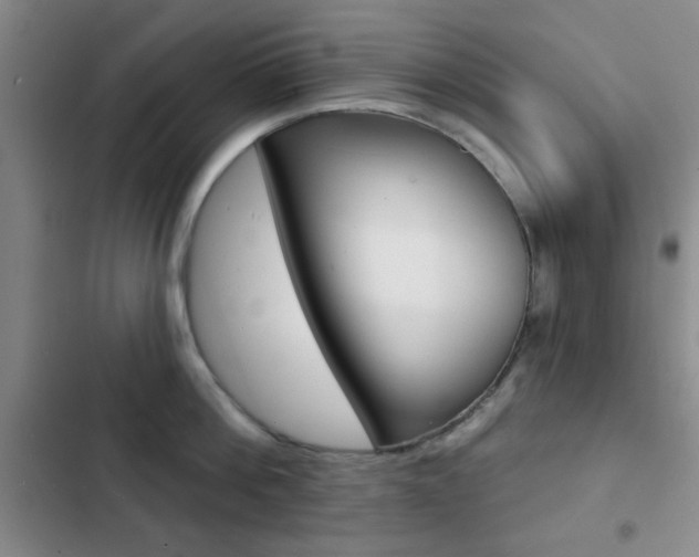 X0000103240812200808281032