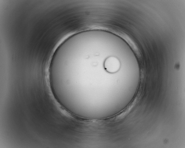 X0000103240814200808281032