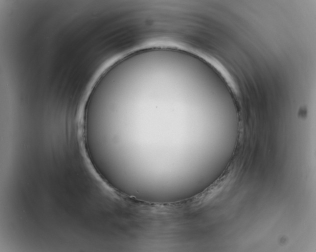 X0000103240815200808281032