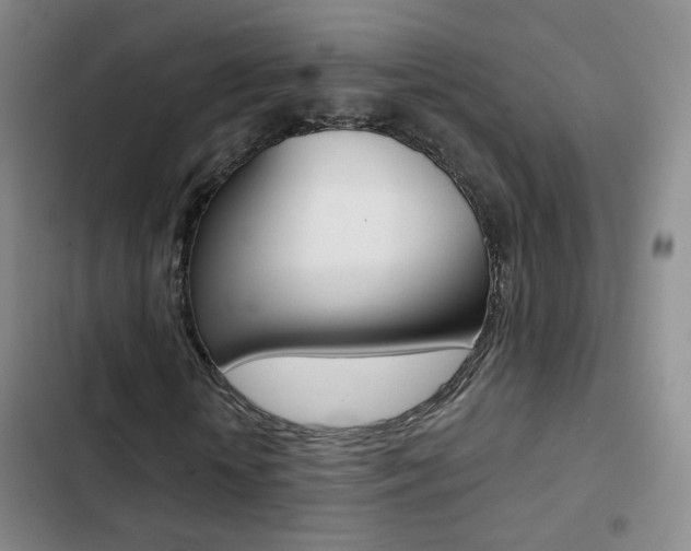 X0000103240818200808281031