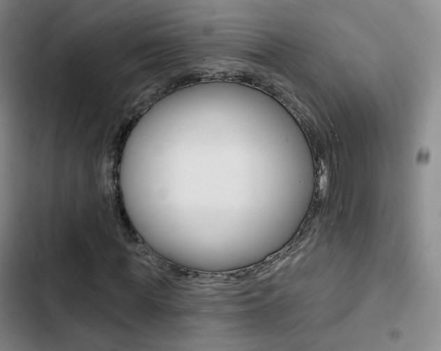X0000103240819200808281031