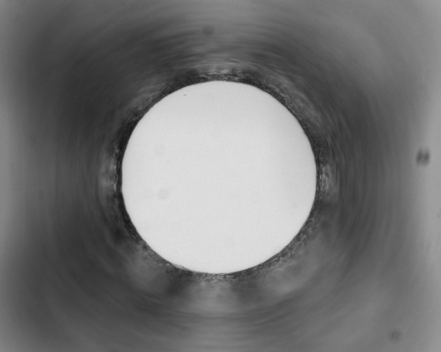 X0000103240820200808281031