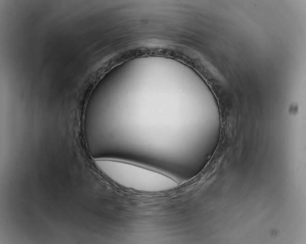 X0000103240821200808281031