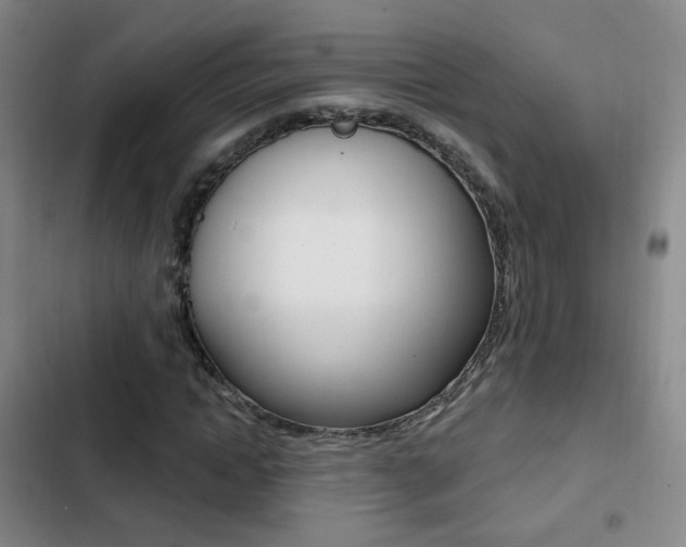 X0000103240822200808281031