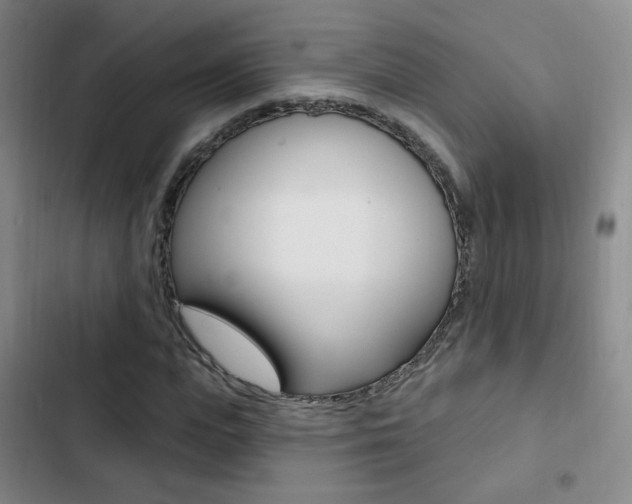 X0000103240823200808281031