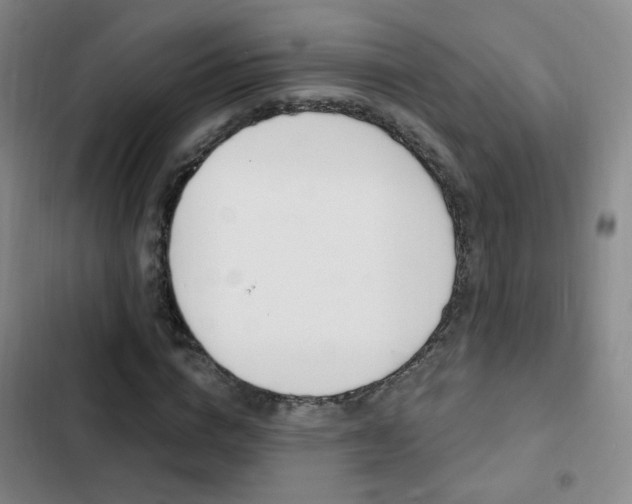 X0000103240824200808281031