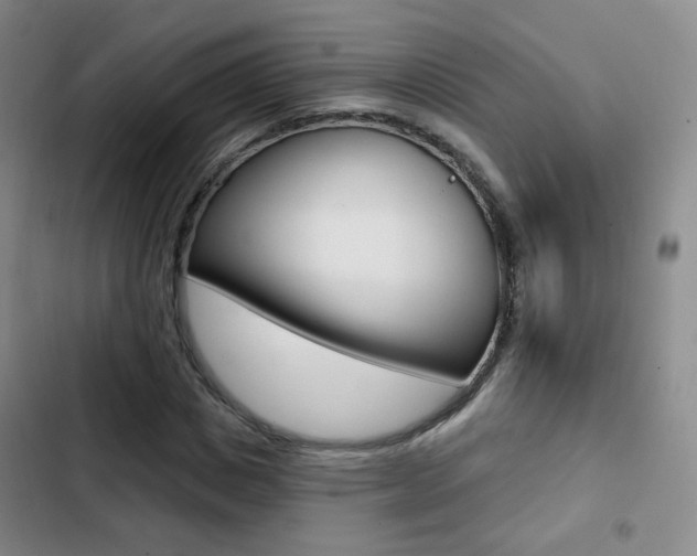 X0000103240825200808281031
