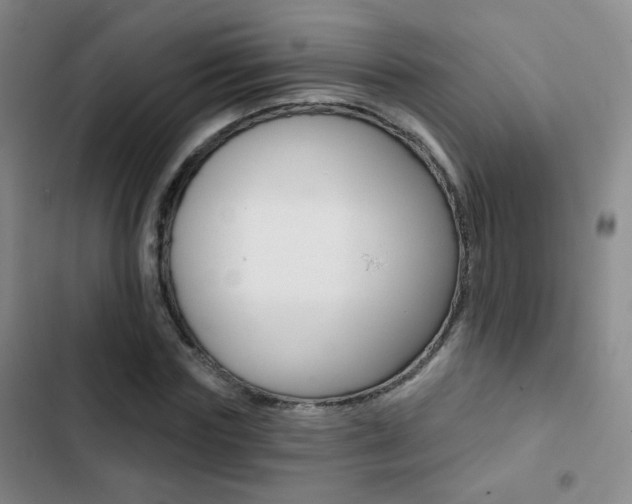 X0000103240827200808281031