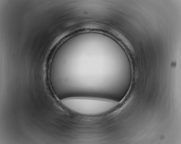 X0000103240829200808281031