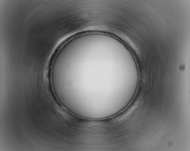 X0000103240830200808281031