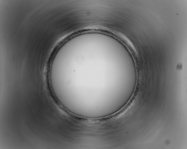X0000103240831200808281031