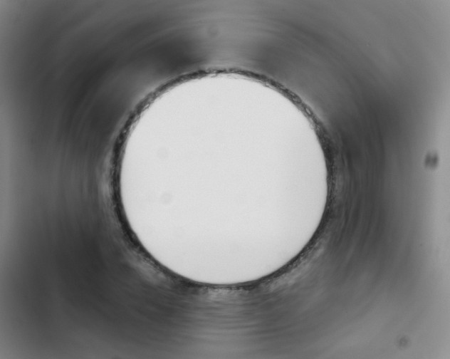 X0000103240832200808281031