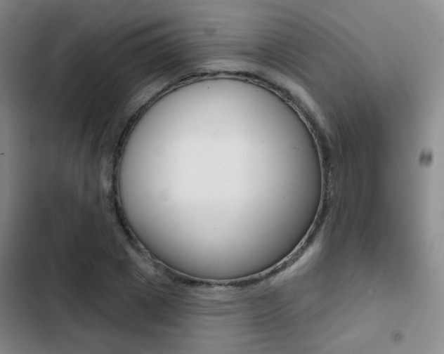 X0000103240833200808281031