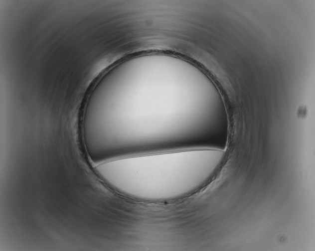 X0000103240834200808281031