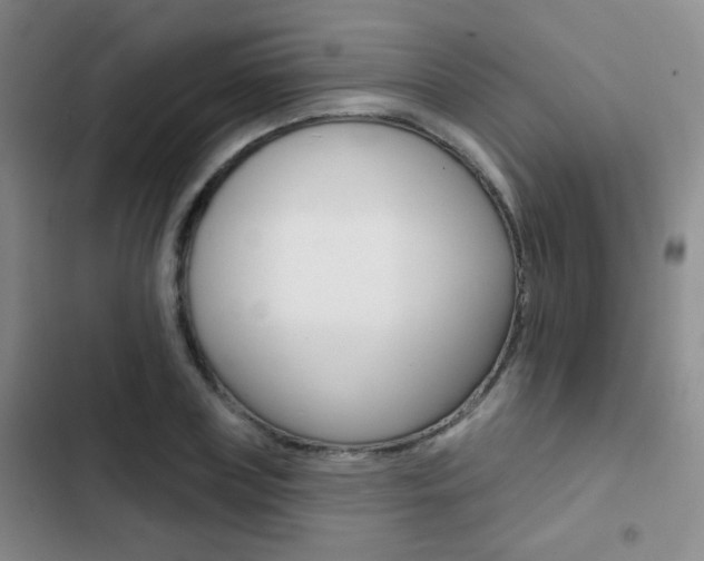 X0000103240835200808281031