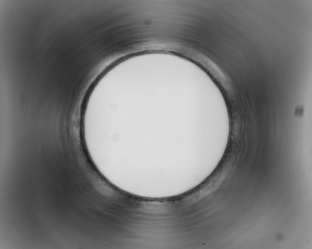 X0000103240836200808281031