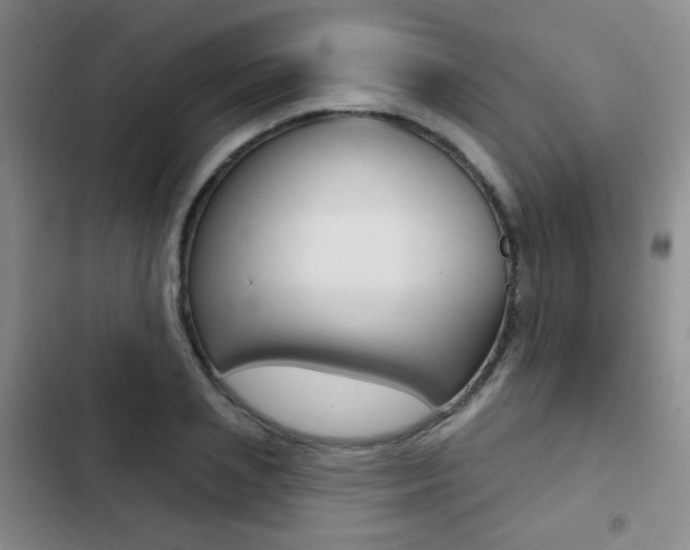 X0000103240837200808281031