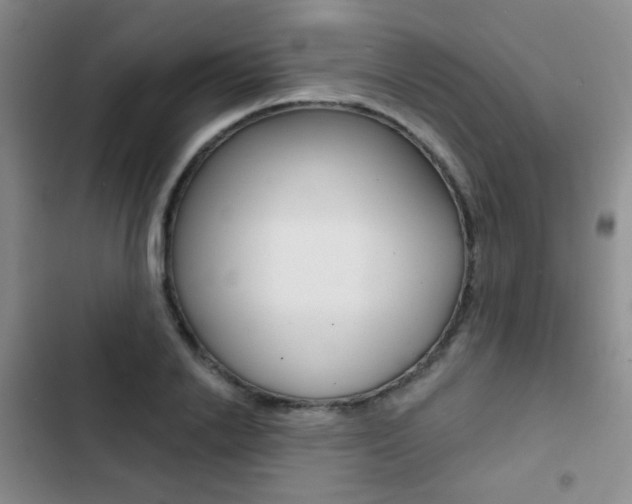 X0000103240838200808281031