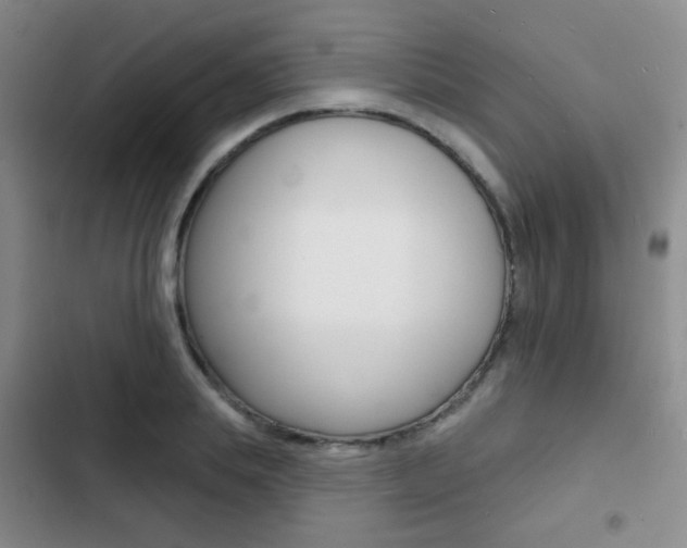 X0000103240839200808281031