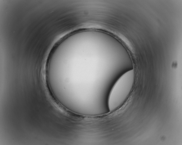 X0000103240840200808281031