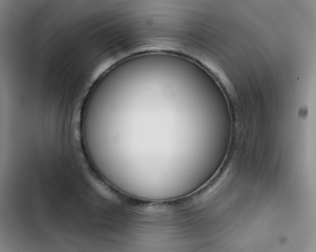 X0000103240842200808281031