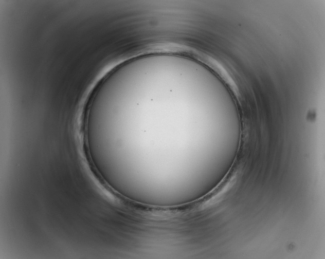 X0000103240843200808281031