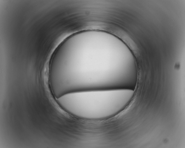 X0000103240844200808281031