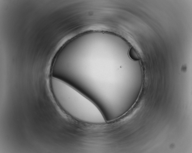 X0000103240845200808281031