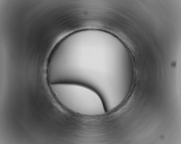 X0000103240846200808281031