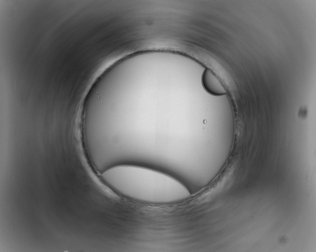 X0000103240847200808281031