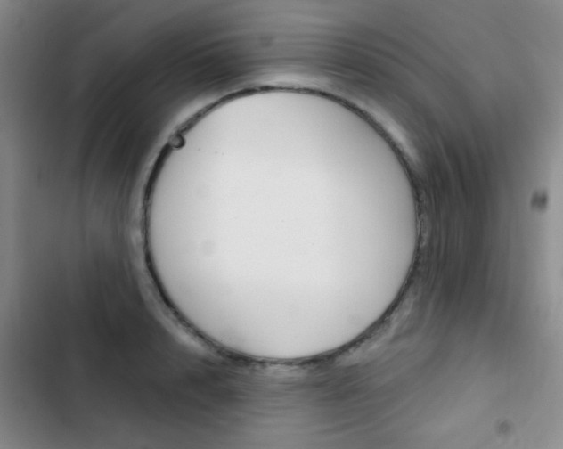 X0000103240848200808281031